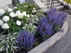 dscn0903