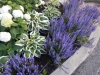 dscn0905