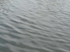 p1070515