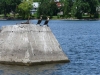 p1070551