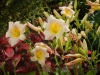 dscn1351