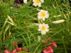 dscn1352