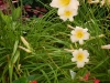 dscn1353