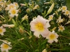 dscn1360