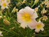 dscn1361