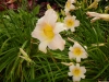 dscn1362