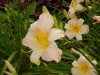 dscn1363