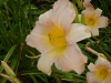 dscn1364