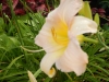 dscn1365