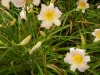 dscn1366