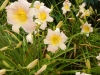 dscn1367