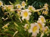 dscn1368
