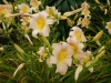 dscn1369