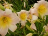 dscn1370