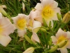 dscn1371