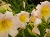 dscn1372