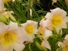 dscn1373