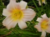 dscn1374