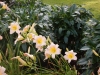 dscn1375