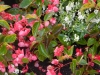 dscn1376