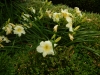 dscn1379
