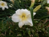 dscn1380