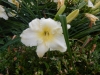 dscn1381