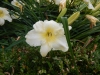 dscn1382