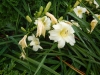 dscn1383