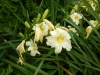 dscn1384