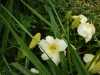 dscn1385