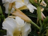 dscn1386