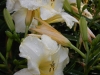dscn1387