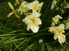 dscn1390