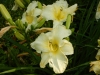 dscn1391