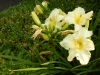 dscn1392