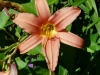 p1070360