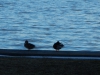 dscn0051