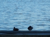 dscn0052