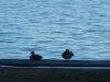dscn0053
