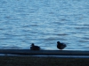 dscn0054