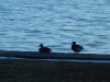 dscn0055