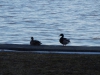 dscn0056