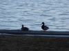 dscn0057