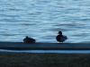 dscn0058