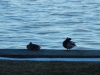 dscn0059