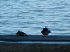 dscn0060