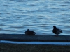 dscn0062