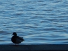 dscn0063