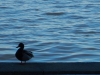 dscn0064